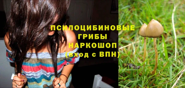 ALPHA PVP Билибино