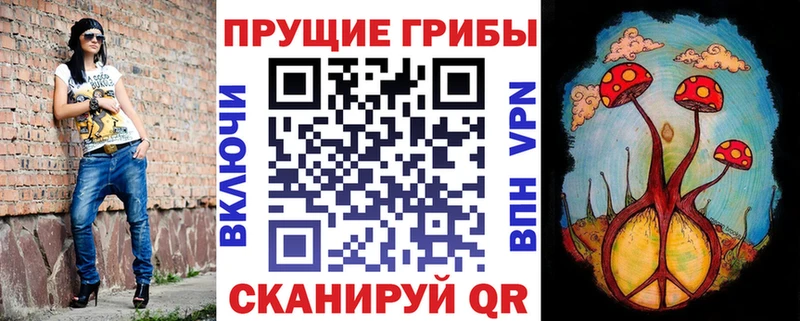 Псилоцибиновые грибы Psilocybine cubensis  наркота  Кемь 